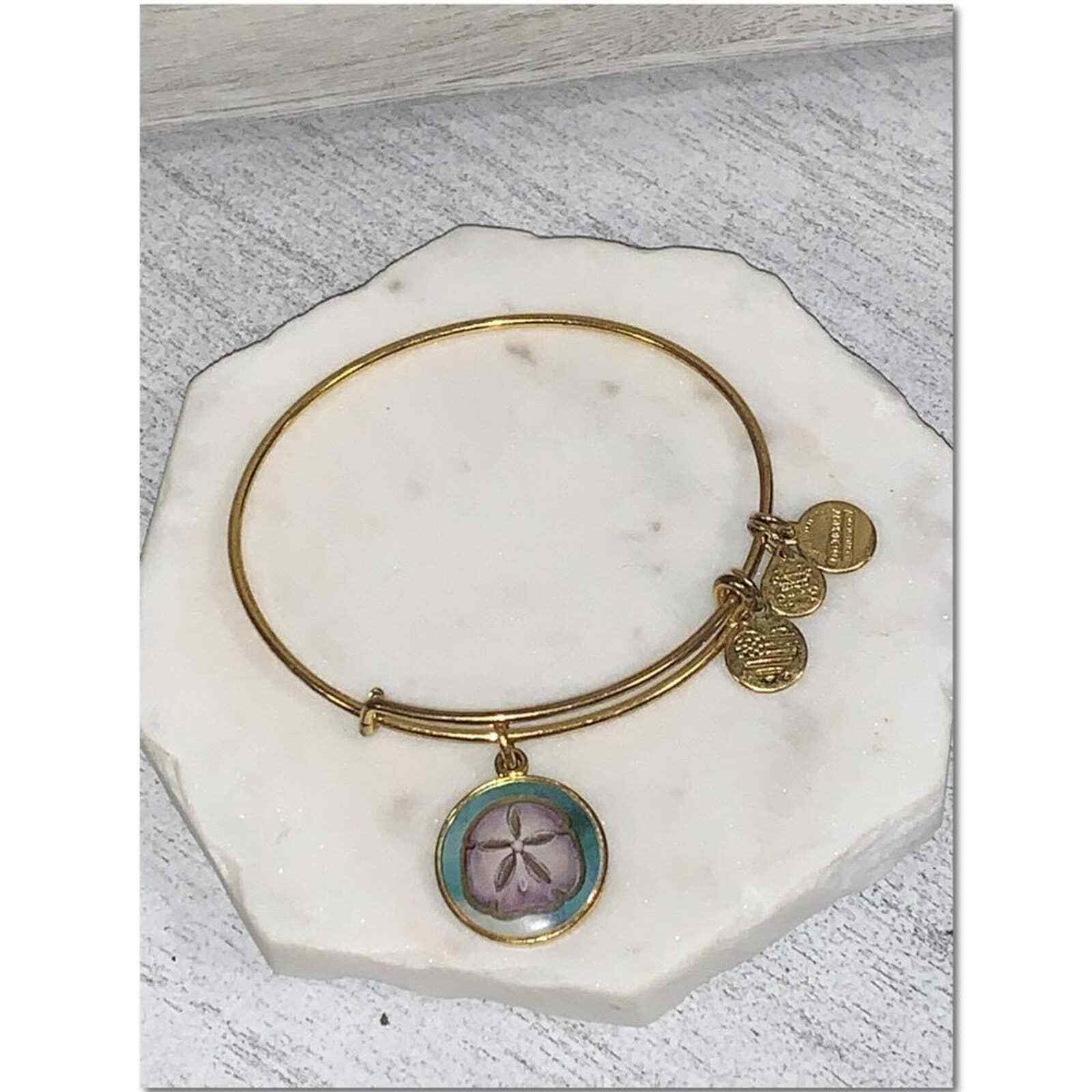 Alex and Ani Art Infusion Sand Dollar Bangle Charm Bracelet EUC