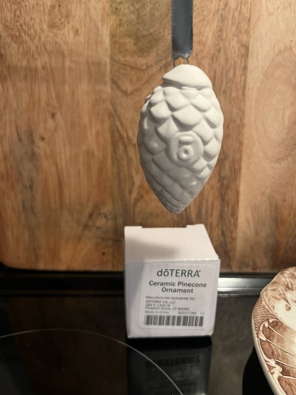 doTerra Ceramic Pinecone Ornament W/Box Essential Oil Diffuser