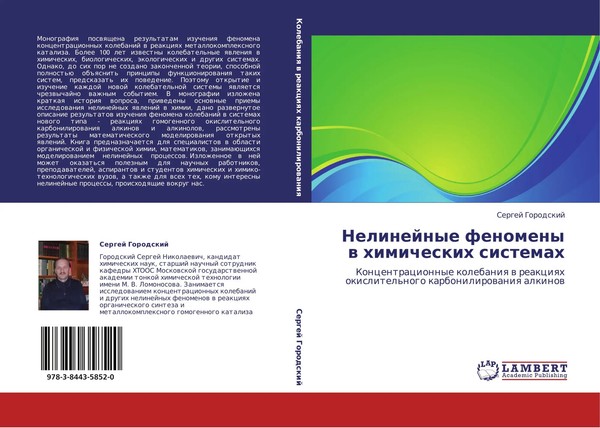 Sergej Gorodskij | Nelinejnye Fenomeny W Himicheskih Sistemah | Taschenbuch-image
