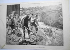 Catching Herring, drawn by W. P. Bodfish - Harper's Weekly, 1887. Cape Cod.