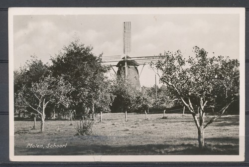 10c EN FACE (Versneden Rolzegel) SCHOORL (N.H.) 4.VIII.1952 DEN HAAG Tr448 - Imagen 2 de 2