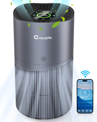 Powerful HEPA Air Purifiers for Home Large Rooms Filter Pollutants, Smoke, Dust