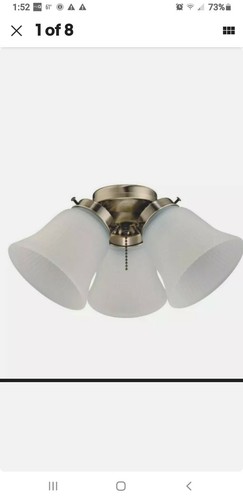 Light LED Cluster Ceiling Fan Light Kit 