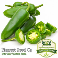 100 Jalapeno Pepper Seeds  Non-GMO  Heirloom Vegetable Garden Seeds from USA