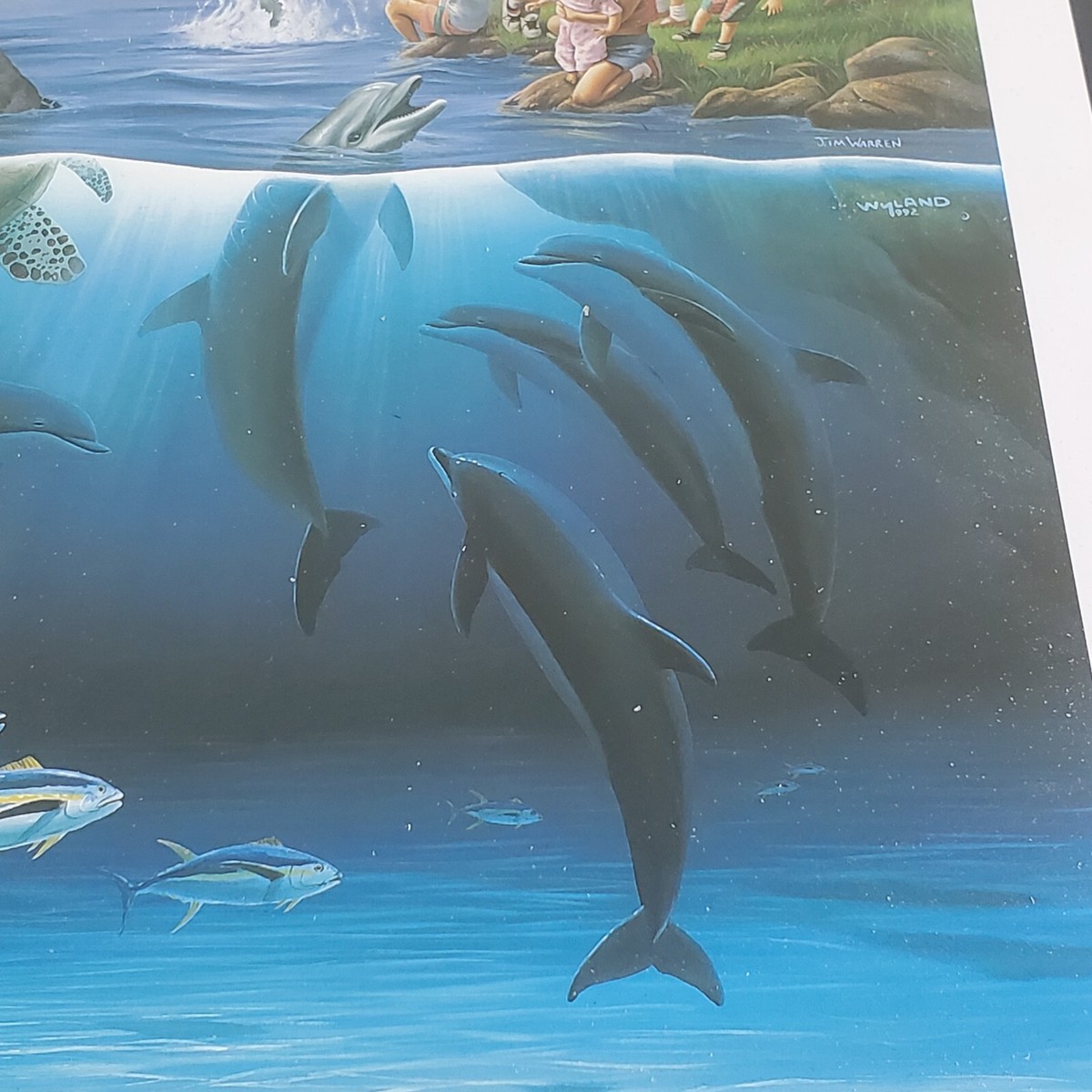 1992 Wyland Prints 10 by 8 Dolphin Rides Jim Warren (f) | eBay