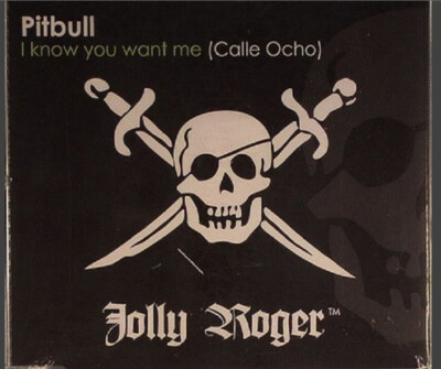 Pitbull    I Know You Want Me (Calle Ocho) , CD SINGLE 2009 VG+