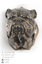 مقتنيات Englische Bulldogge