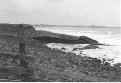 Photo 6x4 Greymare Rock Embleton/NU2322 Gently folded rock strata expose c1997