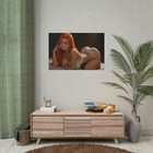 Bild 9 von 9