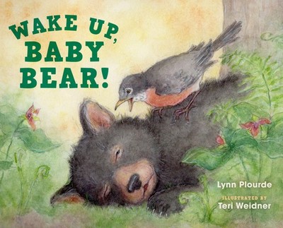 Wake Up, Baby Bear! by Plourde