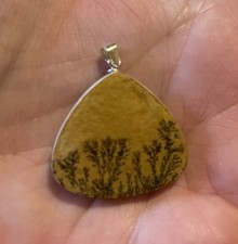 Beautiful Crystal Dendrite Dentritic Agate Pendant