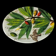 MICHEL DESIGN WORKS Olive Grove Glass Soap Dish  4x6 With Box