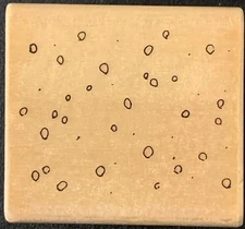 Uptown Holly Pond Hill Snow Rubber Stamp