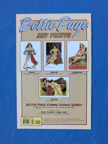 Bettie Page 3er Set Comics Jim Silke Dark Horse [NEAR MINT - MATURE] - Bild 3 von 7