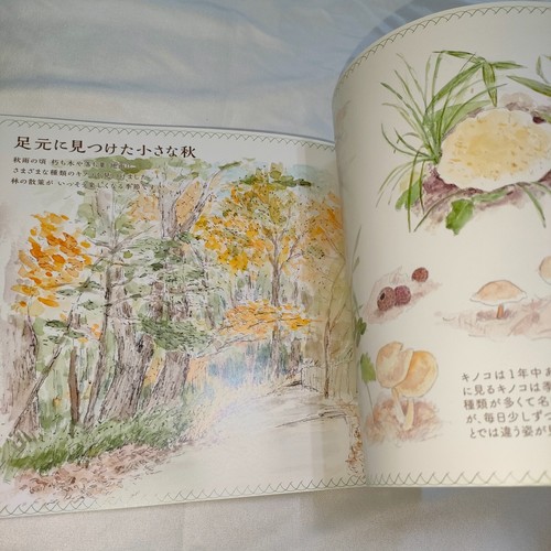Ghibli Art & Picture Book Totoro's Birthplace Hayao Miyazaki Raro NUOVO Giappone DDP - Foto 11 di 22