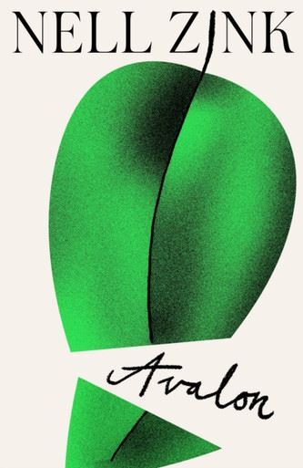 Avalon by Nell Zink PAPERBACK - Image 2