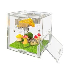 Jumping Spider Enclosure, 4" X 4" X 4" Acrylic Spider Habitat, Front Opening