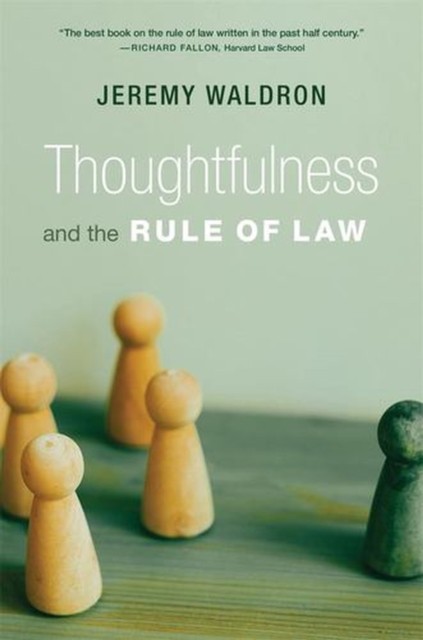 Thoughtfulness and the Rule of Law - Image 3