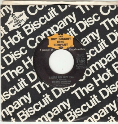 THE EPIC SPLENDOR - A LITTLE RAIN MUST FALL - ORIGINAL 45 - GREAT SHAPE