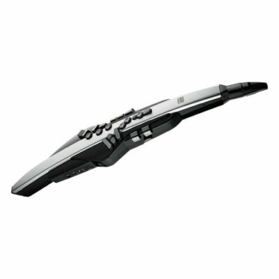 Roland Aerophone Pro Ae-30 | eBay