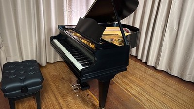 Bechstein Piano Model L #134504