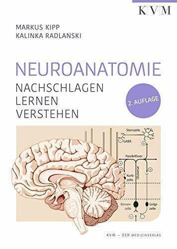 Neuroanatomie: Nachschlagen | Lernen | Verstehen Buch - Bild 1 von 1