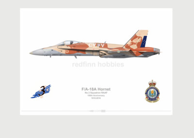 Warhead Illustrated SE F/A-18A Hornet 3 Sqn RAAF 100th Anniversay Aircraft Print