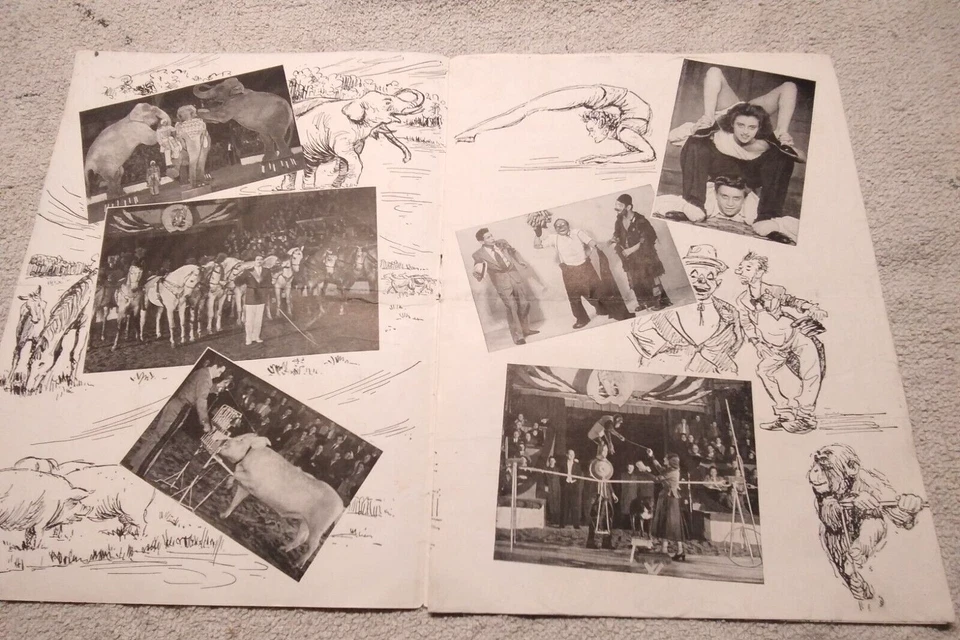 ALT PROSPEKT ZIRKUS BUSCH CIRCUS BUSCH  DDR 1956 - Bild 2 von 4