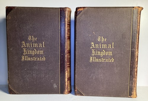Lot2 Johnson’s NaturalHistory Animal Kingdom Illustrated Vol1 &2 byGoodrich 1879 - Picture 4 of 7