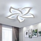 Modern LED Ceiling Light 5-Heads Chandeliers Lamp 6500K Bedroom Living Room 60CM