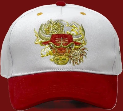 SKY HIGH New ListingNever Worn Chicago Bulls Artist Hat Series Cap by Kayla Mahaffey From 12/29/2025