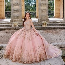 Pink Quinceanera Dresses Prom Gown Applique Beading Sequin With Detachable Train