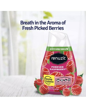 10 Pack Renuzit Adjustable Solid Gel Air Freshener, Forever Raspberry
