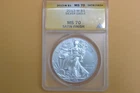 2013-W (Burnished) Silver American Eagle ANACS MS70 - Discoloring