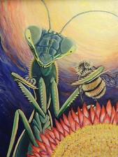 Original signed Painting PRAYING MANTIS Bug/Insect PORTRAIT~