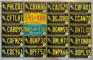 2021 LICENSE PLATES NEW MEXICO Lot 20 Plates EXPIRED