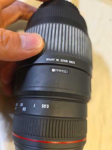 SIGMA APO 70-300mm f/4-5.6 DG MACRO Lens for Canon AF - Picture 4 of 9
