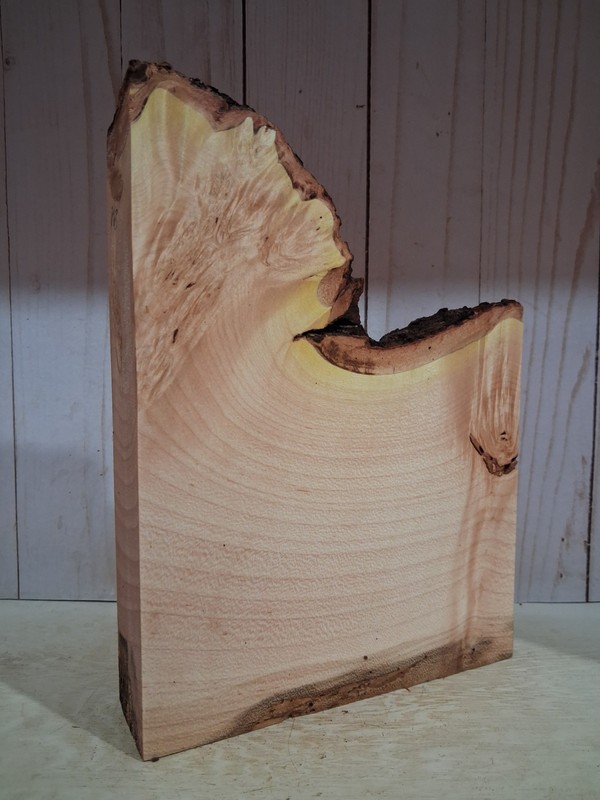 XL Spalted BIRDSEYE MAPLE BURL Wood Blank, Craft Wood LIVE EDGE Curly Maple Burl