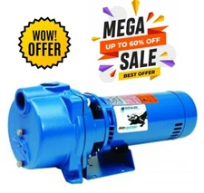 Goulds GT20 IRRI Gator Pump Self Priming Single Phase Centrifugal 2 HP 230 Volts