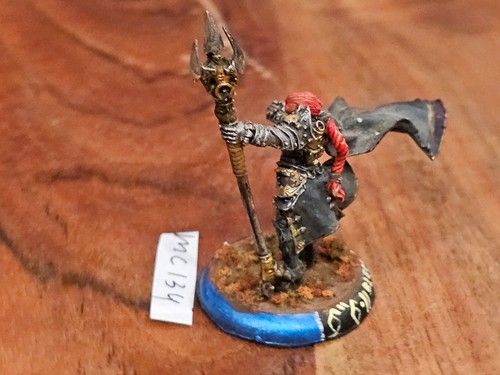 Hordas Warmachine Mercenarios Fiona la Negra METAL Pintado MC134 - Imagen 6 de 18