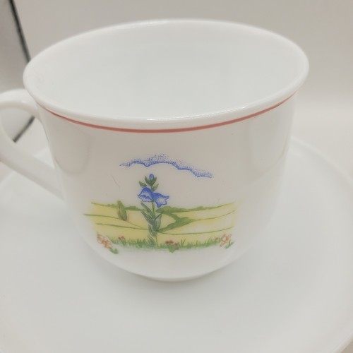 Arcopal France Coffee Pot 2 X Cups & Saucers, Sugar Bowl 1960/1970's Heidi Boxed - Picture 9 of 17