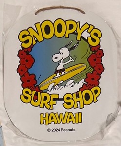 Snoopy Surf Shop | eBay