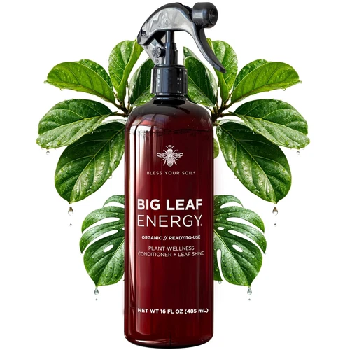 Neem Oil Spray for Plants