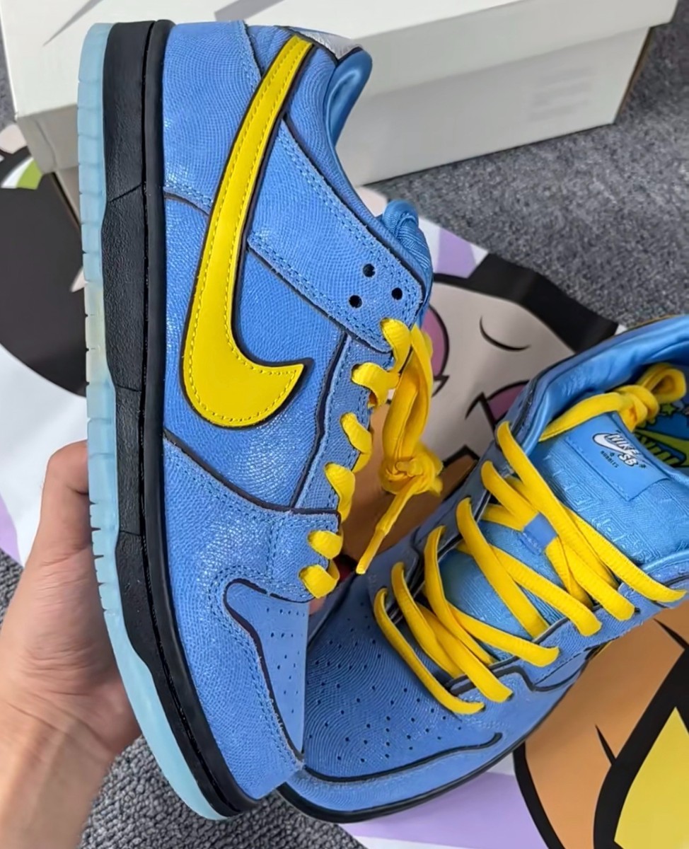 Size 9.5 - The Powerpuff Girls x Nike Dunk Pro SB QS Low Bubbles