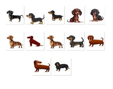 Personalized Address Labels Cartoon Dachshunds FA 51 
