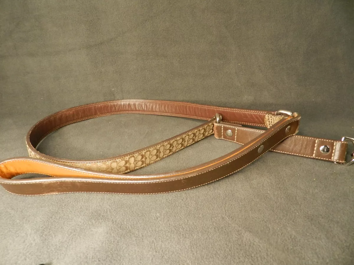 Coach dog top collar and leash