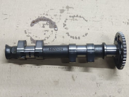 BMW F 800 GS 2008 2017 F800GS 08 - 17 Nockenwelle Auspuff Kopf