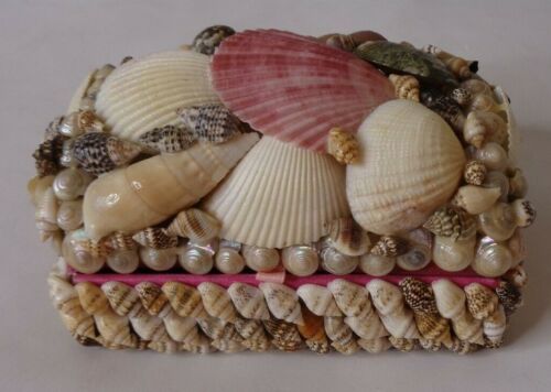 Sea Shell Trinket Jewelry Box Nautical Ocean Decor Seashells 5" x 3" Felt Lined