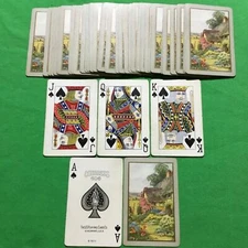 Old 1920s Vintage USPC CONGRESS 606 Named * THE GARDEN * Playing Cards FLOWERS