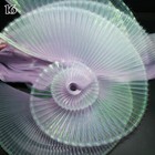 Bild 32 von 32